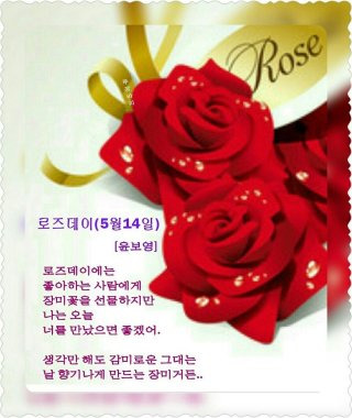 로즈데이란? 유래 5월 14일 장미 선물 이유