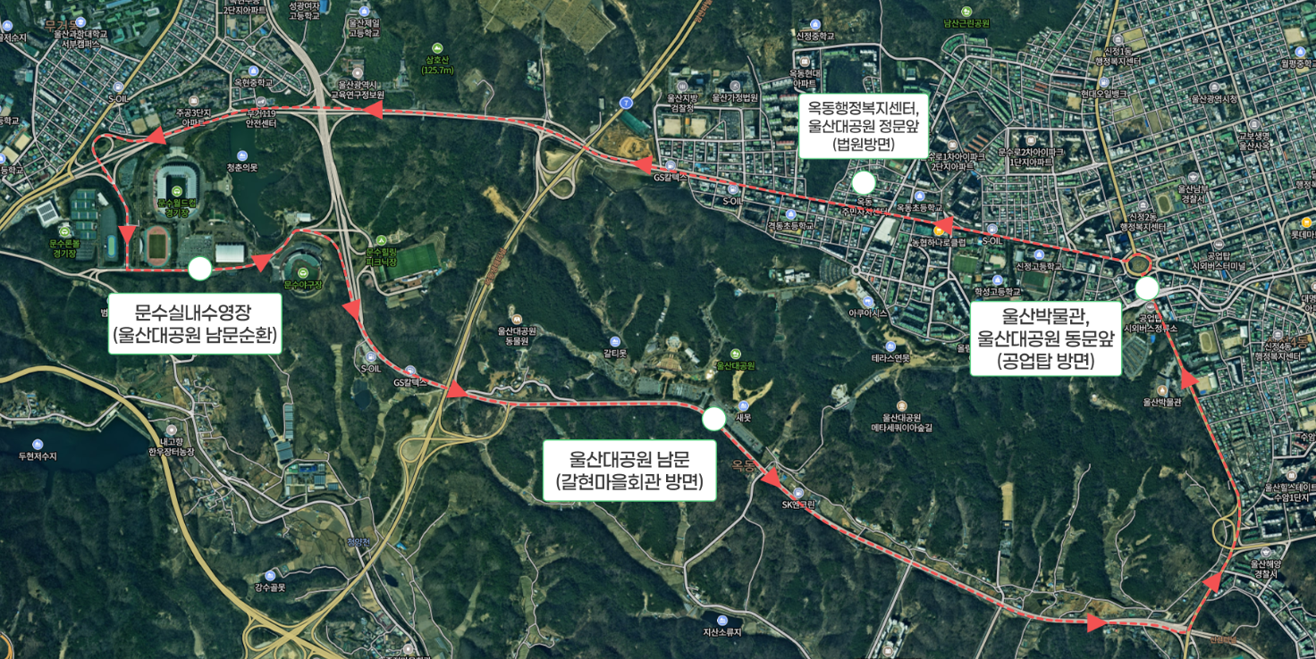 2025 울산대공원 장미축제