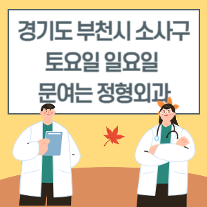 부천시 소사구 토요일 일요일 정형외과 진료 문여는 병원 리스트
