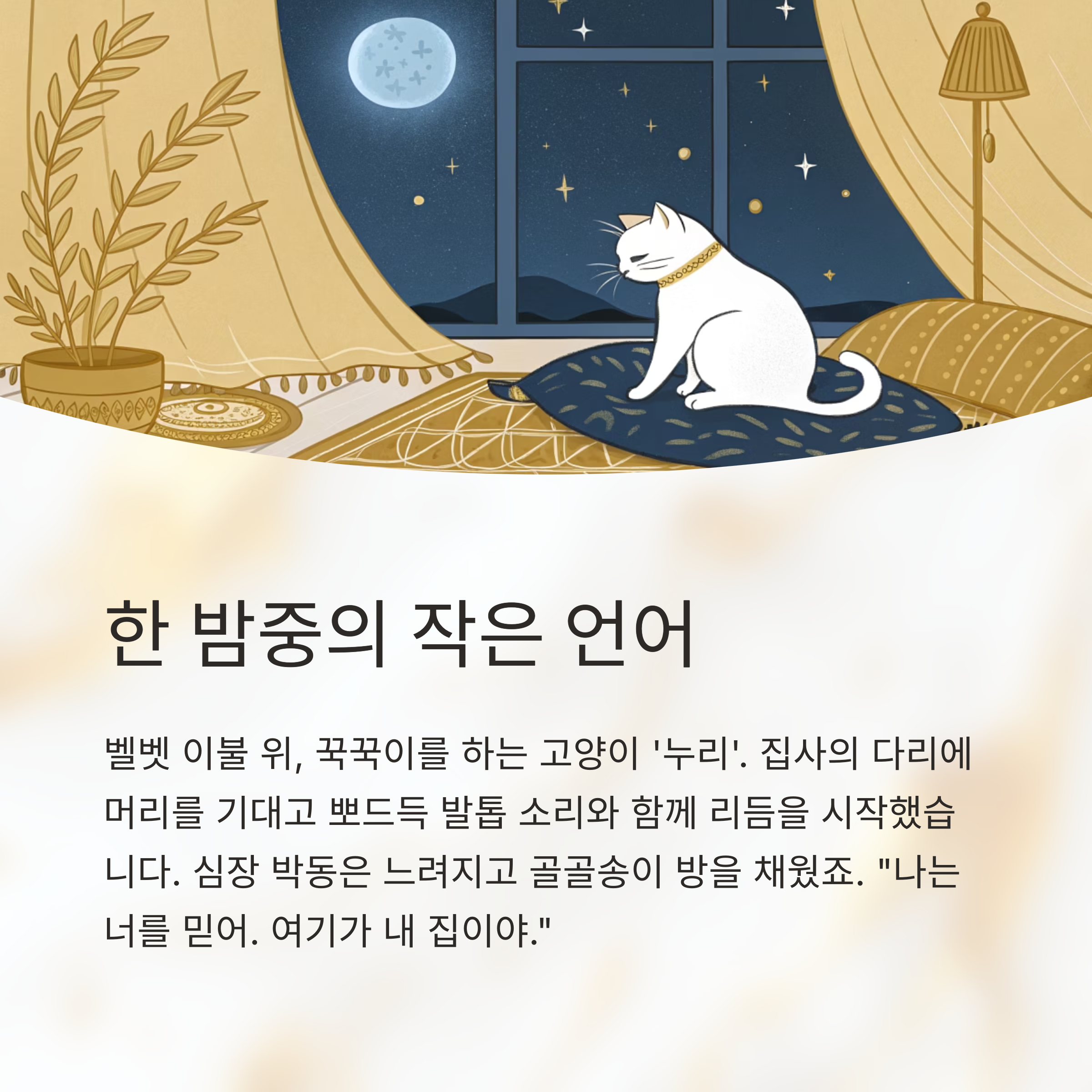 한 밤중의 작은 언어