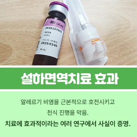 설하면역치료 효과