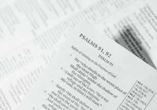 4대보험 완납증명서 인터넷 발급 4대보험 완납증명서 유효기간