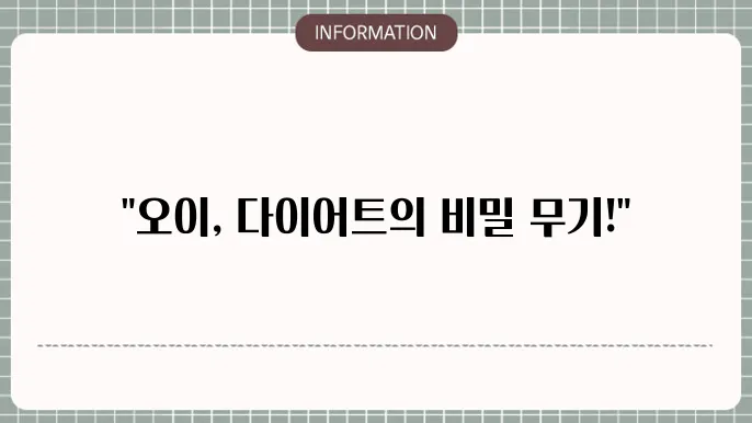 오이 다이어트의 효과