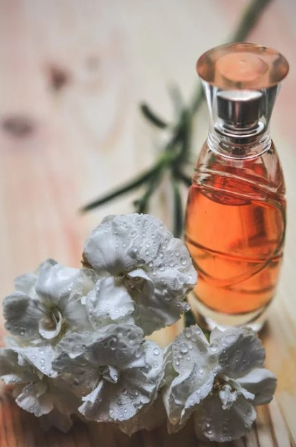 엑스니힐로 매장 어디에 있나요 2025년 위치 총정리