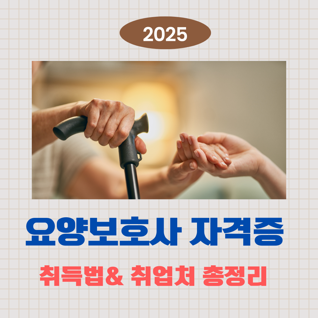 2025 요양보호사 자격증 취득과 취업처 안내