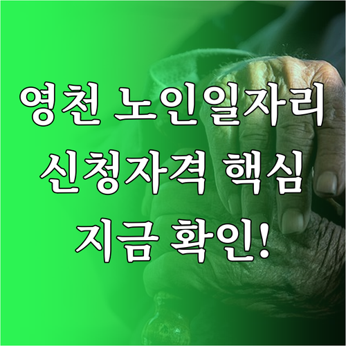 영천 노인일자리 공익활동 사회서비스형..
