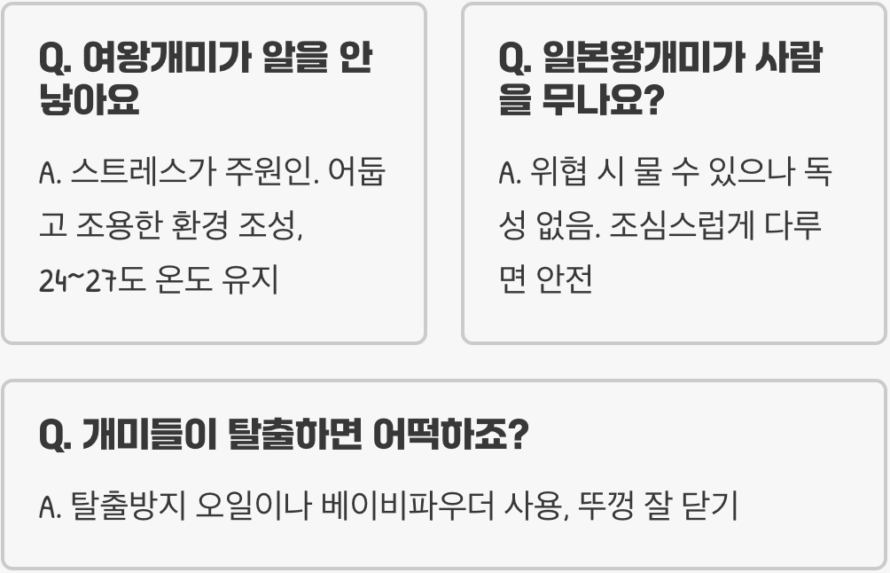 초보 집사를 위한 일본왕개미 키우기 A to Z (채집, 사육장, 먹이)