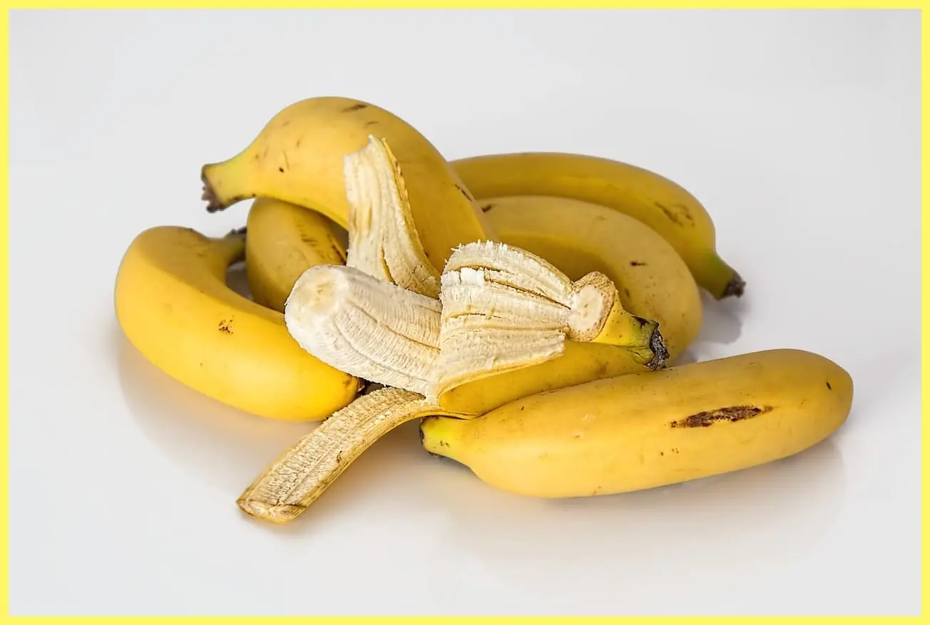 긴장하면 설사? 과민성장증후군 원인부터 실생활 대처법까지 한 번에 정리