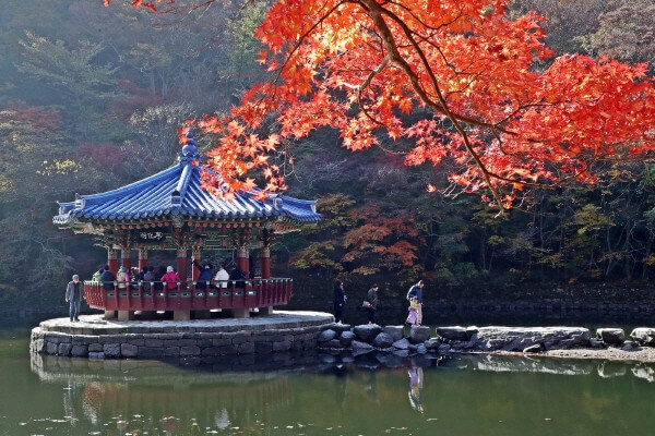 정읍 내장산