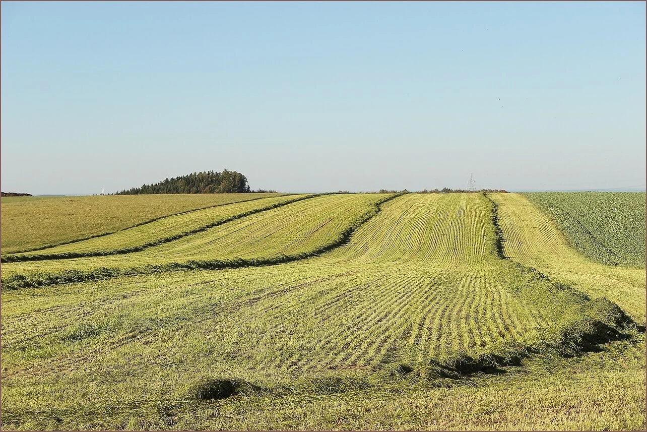 무인민원발급기 위치
