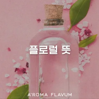 디퓨저 선물 플로럴 시트러스 허브 계절과 공간에 어울리는 향 추천_7