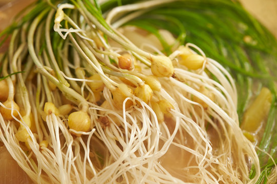 봄나물 BEST 5! 달래와 함께 먹으면 좋은 음식