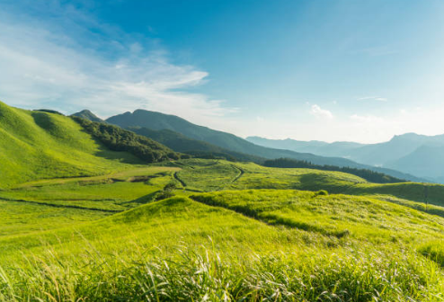 산림청 홈페이지 바로가기 https://www.forest.go.kr/