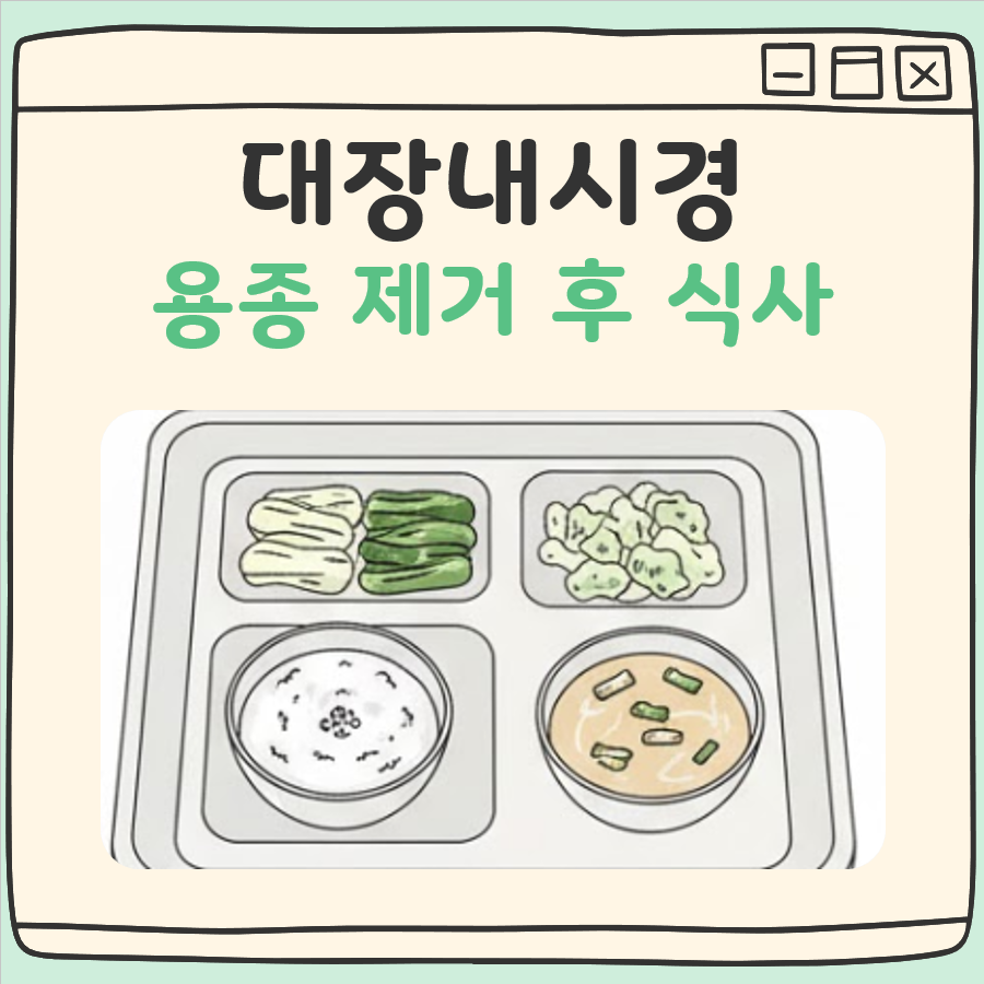 대장내시경 용종제거후 식사(금식 시간, 피해야할 음식 등) 대표 이미지