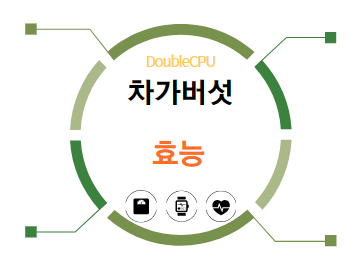차가버섯 효능