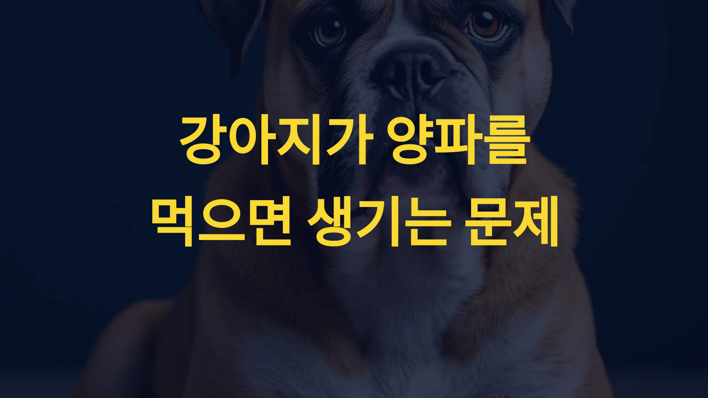 강아지가 양파를 먹으면 생기는 문제