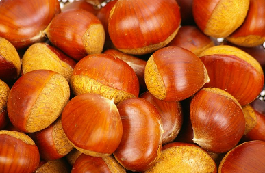 10월 2일 임시공휴일