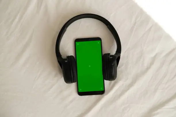 스포티파이 (Spotify) 1개월 무료 사용 후기