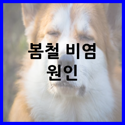 봄철 비염 원인