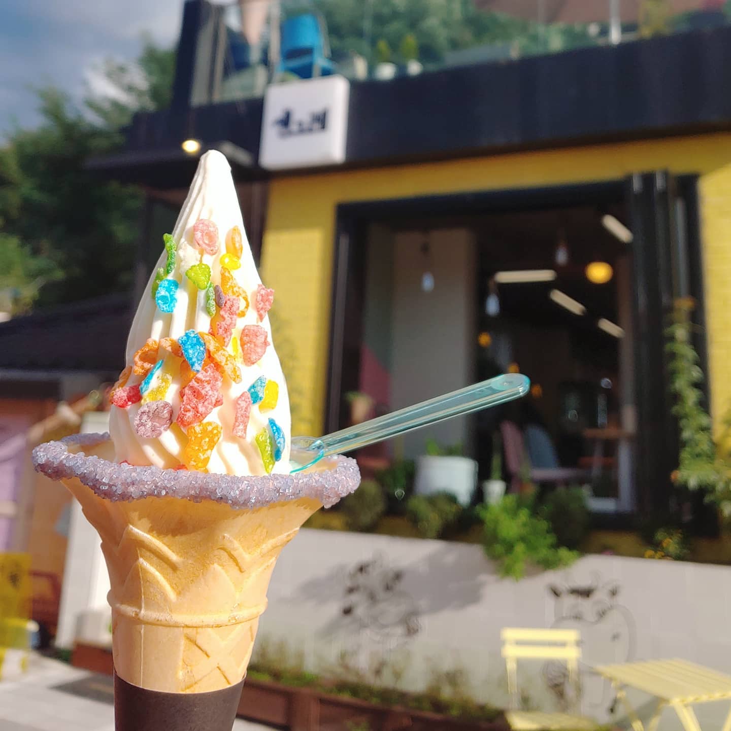 제25회 토요일은 밥이좋아 토밥즈 유기농 우유로 만든 아이스크림 맛있는 디저트 가게 춘천 소양강 레고랜드 루프탑 카페