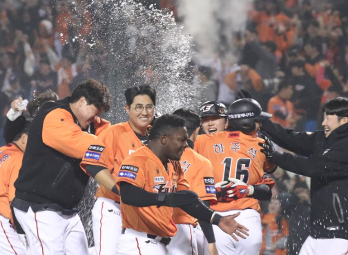 2026 야구 리그 한화이글스 시즌권 예매 신청 방법