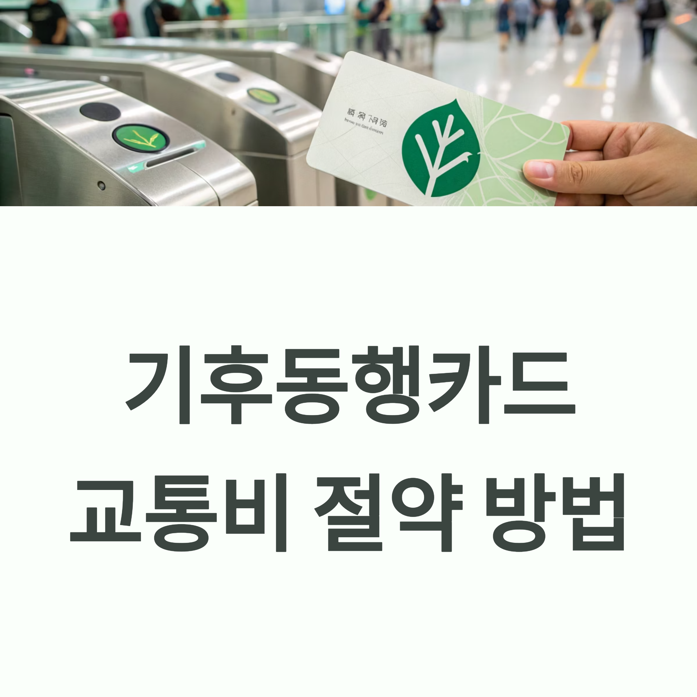 청년을 위한 기후동행카드 재인증, 실물과 모바일 완벽 가이드