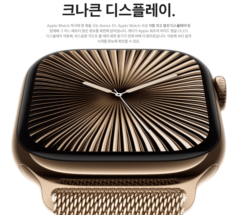 애플워치10 화면 크기 비교