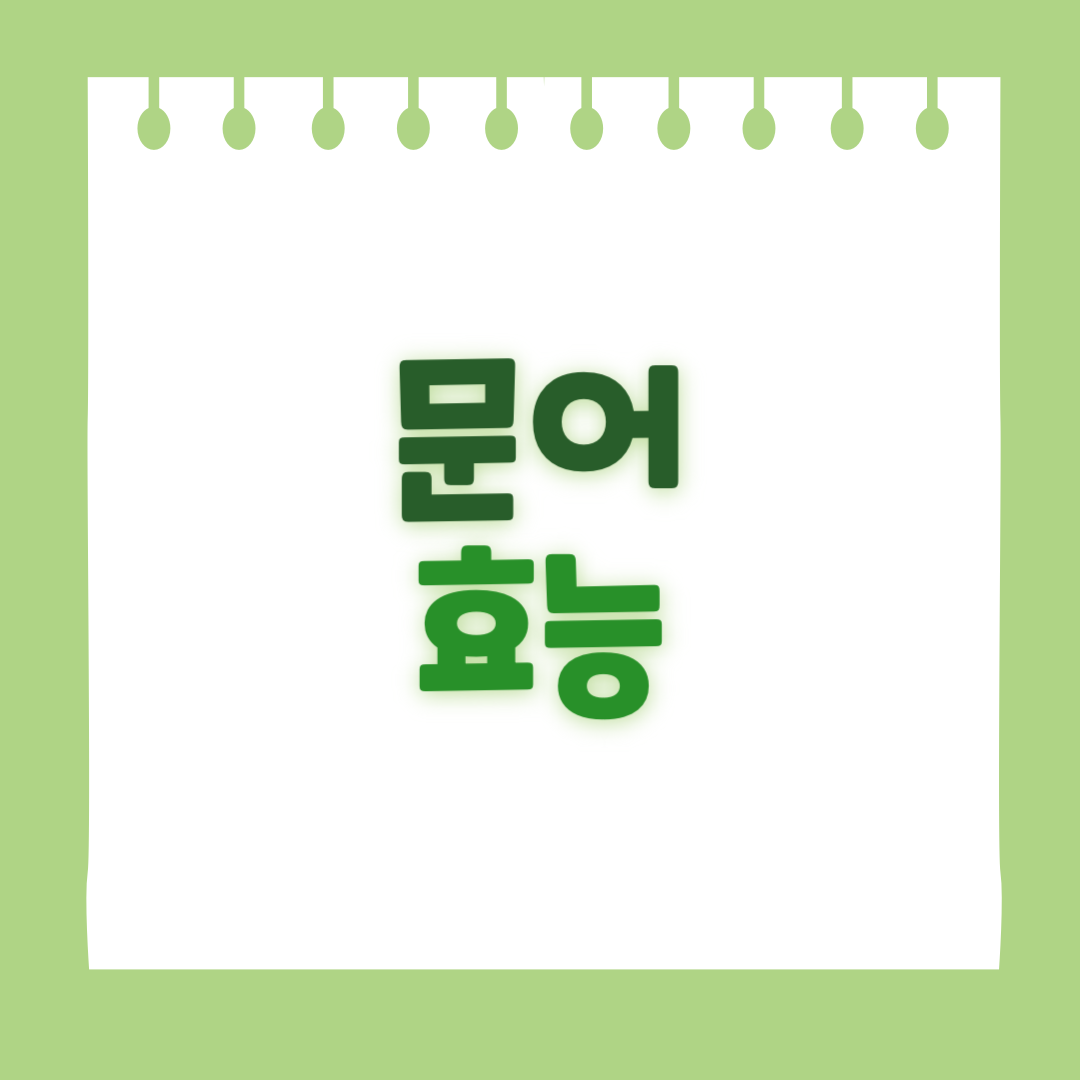 문어의 효능