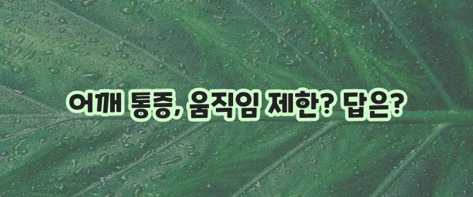 오십견 증상 원인부터 치료 운동까지 확실하게 알아봐야 합니다!