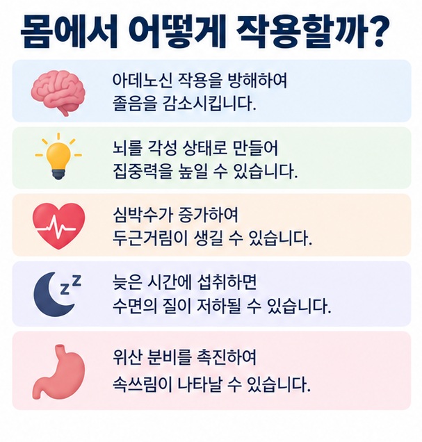 카페인이 아데노신 작용을 방해해 졸음을 줄이고 각성을 높이는 원리와 심박수 수면 위장에 미치는 영향을 설명한 인포그래픽