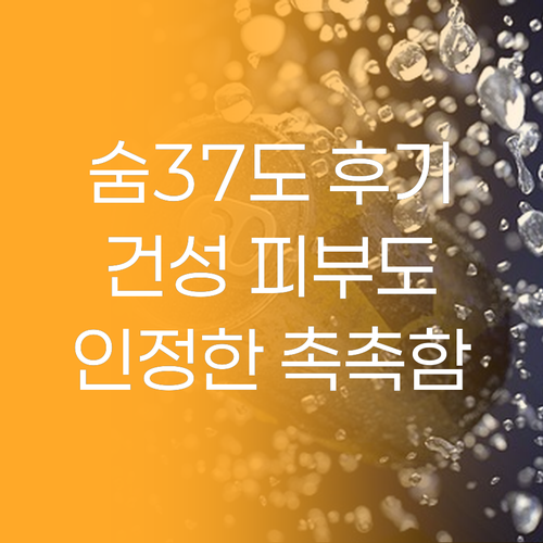 숨37도 리얼 후기 건성 피부도 인정..