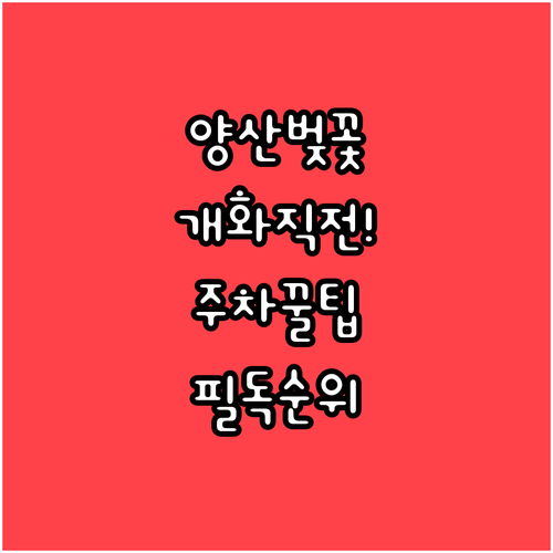 양산 벚꽃 개화 예상일 및 축제 일정..