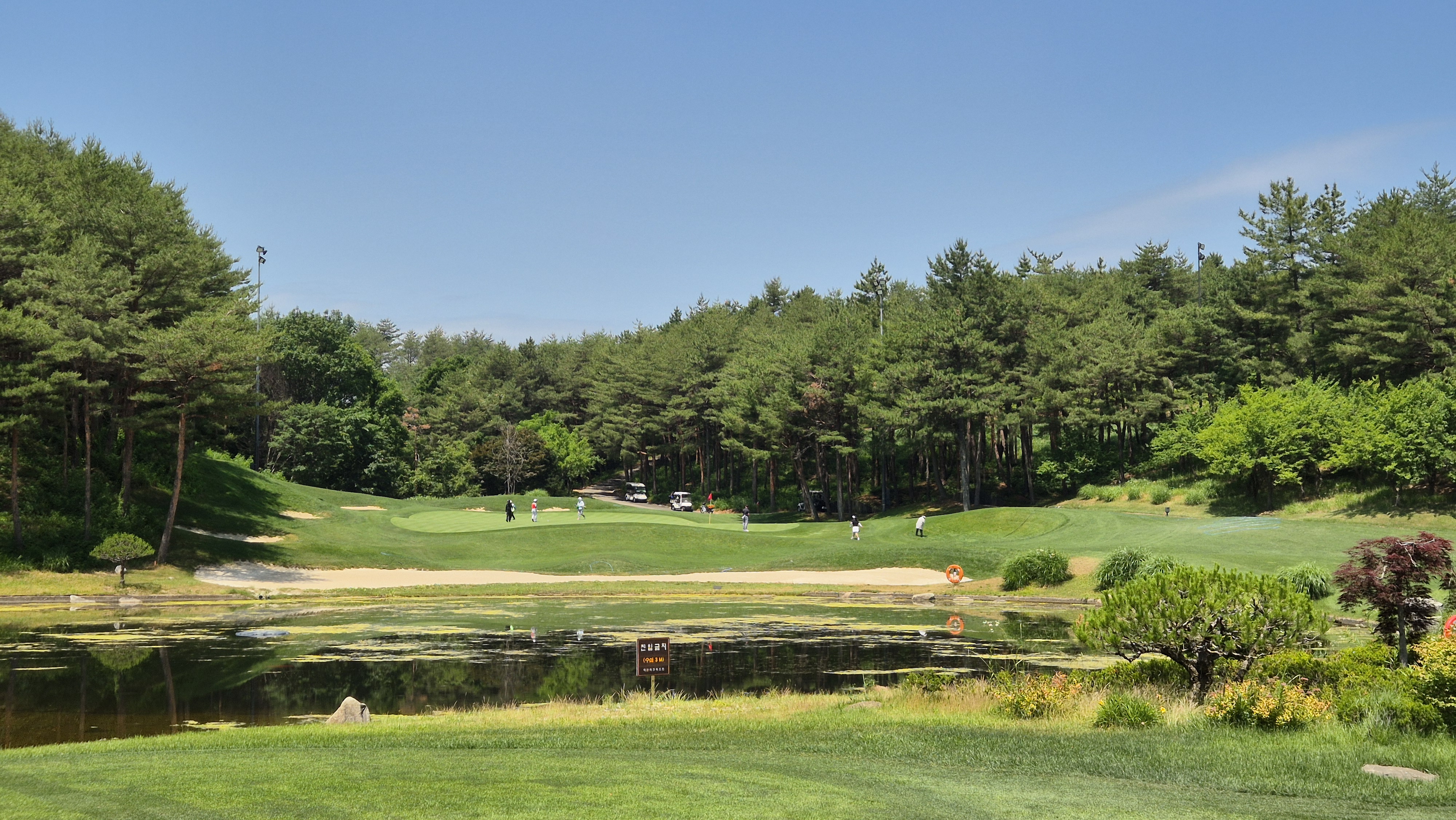 파인리즈cc 후기 및 코스사진