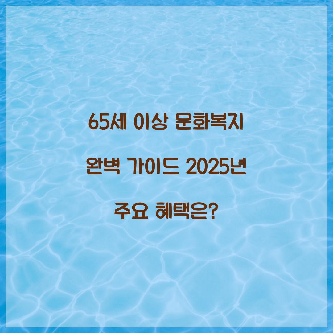 65세 이상 문화복지