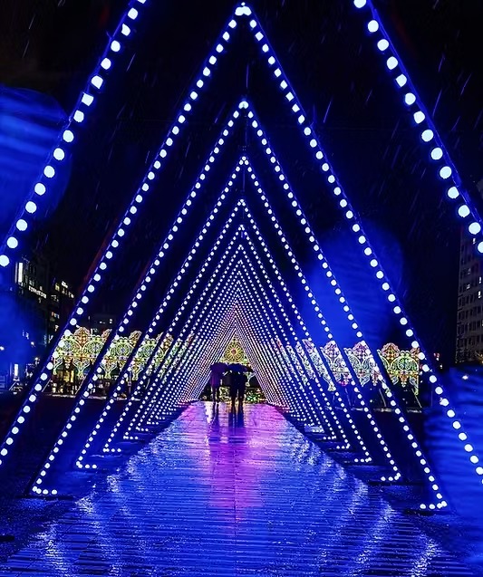 2025 대덕 물빛축제 '대청호가 물든 봄' 축제기간, 가는 방법