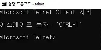 telnet-정상화면