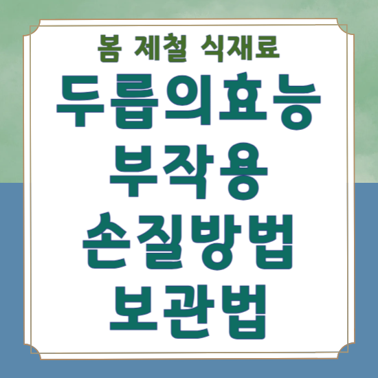 두릅 효능