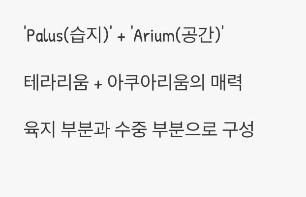 내 손안의 작은 숲&amp;#44; 팔루다리움이란?