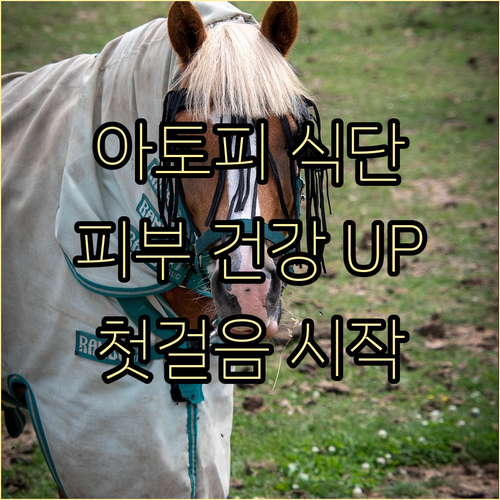 아토피 식단 관리, 피부 건강 되찾는..