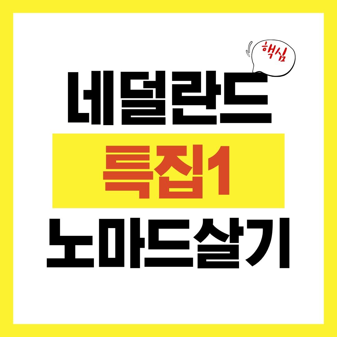 노마드 살기 네덜란드 특집1