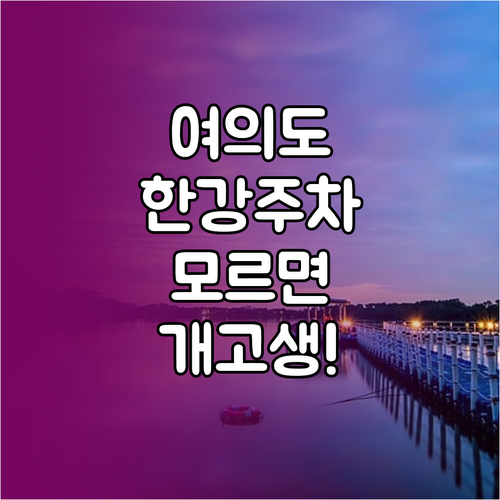 여의도 한강공원 1 2 3 주차장 비..