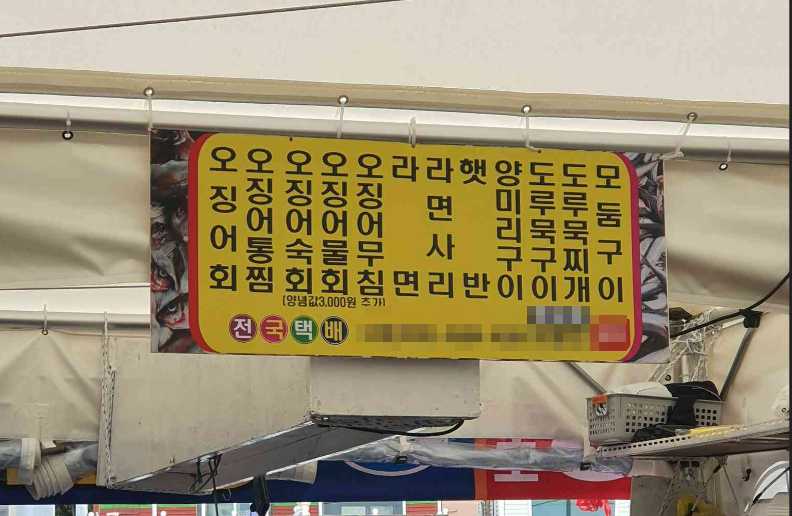 속초 오징어난전