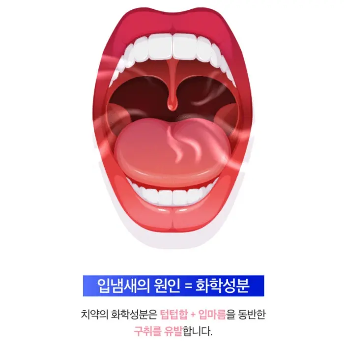 리디에뜨 리디잇 치약 내돈내산 후기 효과 부작용 가격 사용 방법