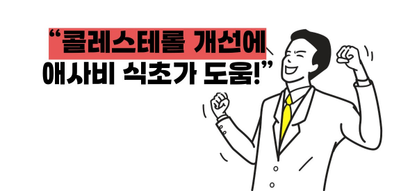 애사비 식초 효능