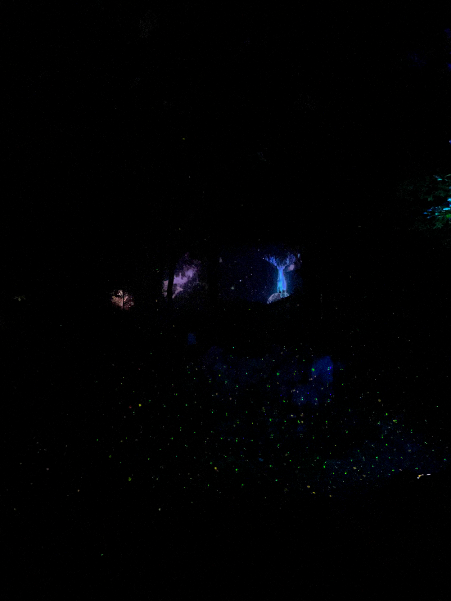 숲 속의 오케스트라6