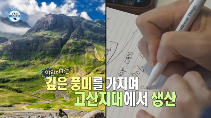 코쿤-필기시험연습