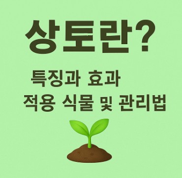 상토란? 특징과 효과, 적용 식물 및 관리법 사진
