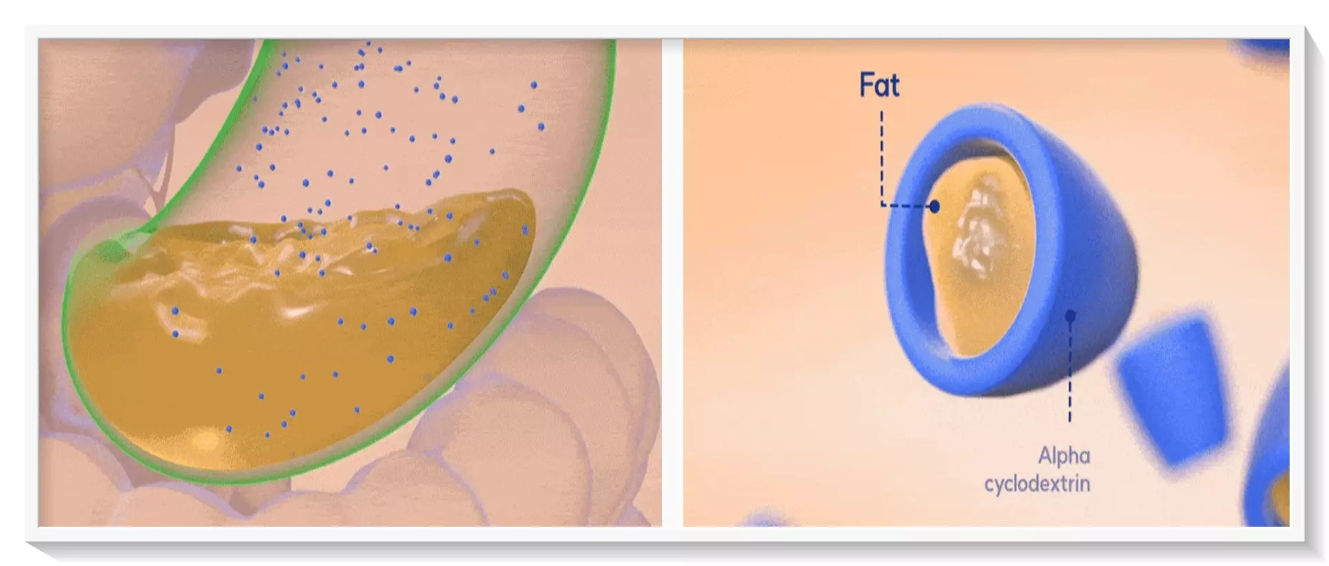 알파 싸이클로덱스트린