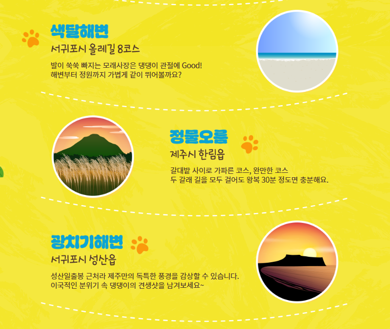 댕댕이와 산책하기 좋은 코스