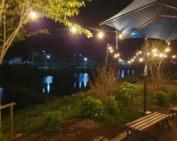 공주 수국축제 유구색동 수국 정원 꽃축제_26